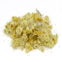 Life Everlasting Flowers 1/2 Oz. ( Helichrysium stoechas )